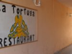 la tortuga