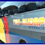 taschoapa